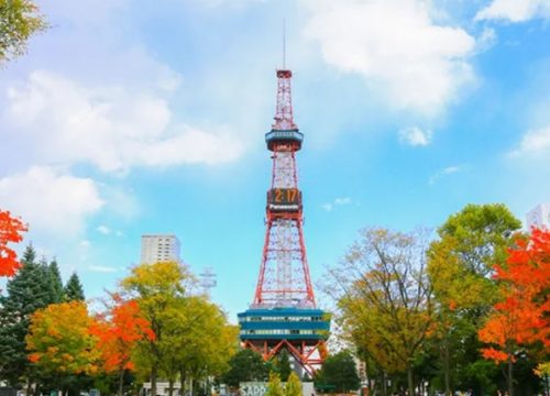 北海道11日遊行程線路