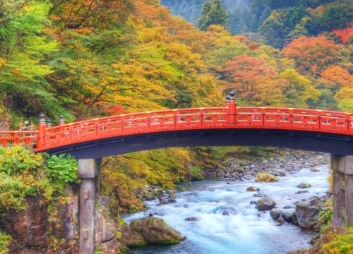 日光包車