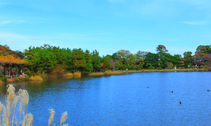 橫濱三溪園