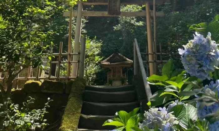 橫濱三溪園 橫濱三溪園