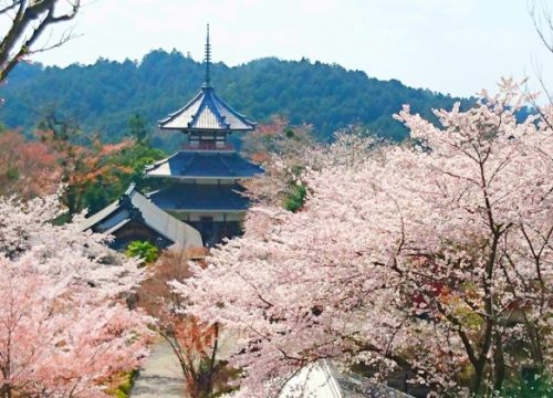 吉野山