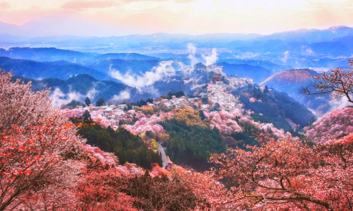 吉野山