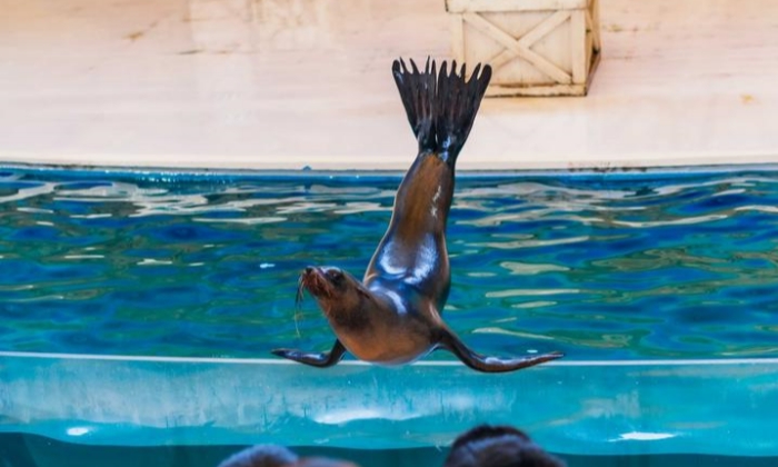 鳥羽水族館（Toba Aquarium）