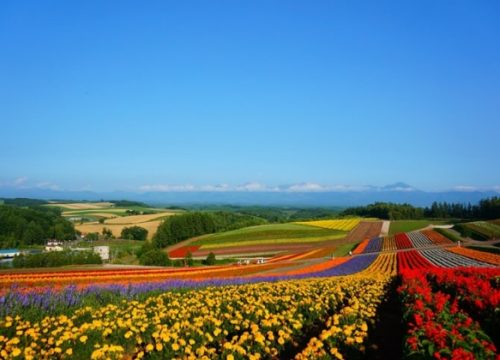 北海道7天觀光行程線路