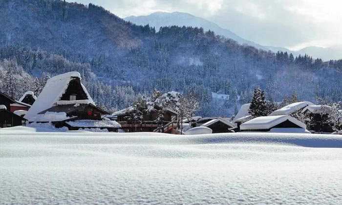 白川鄉合掌村 白川鄉合掌村