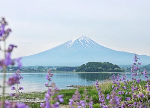 大石公園