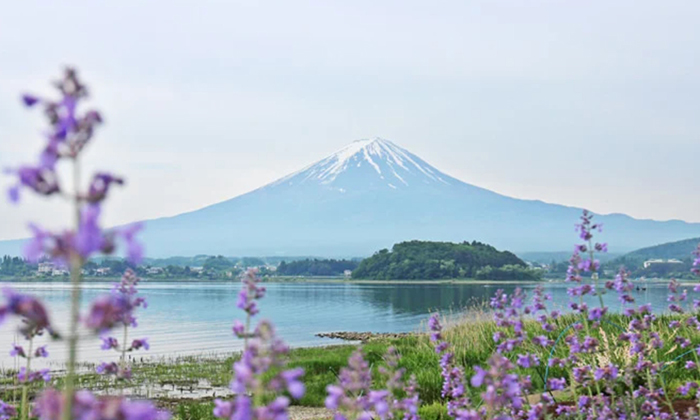 大石公園