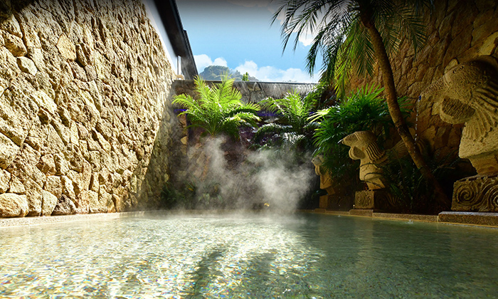 箱根藍瑠日式旅館（Balinese onsen ryokan）