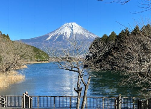 田貫湖