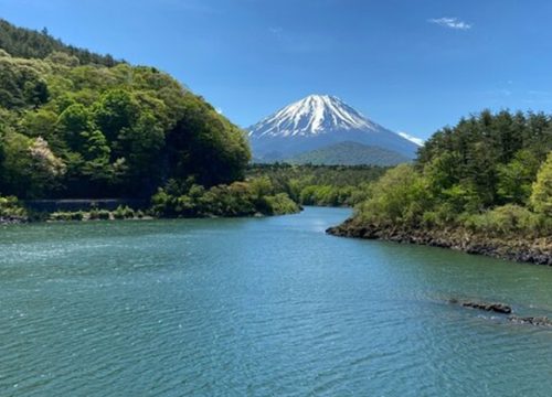 富士山西湖