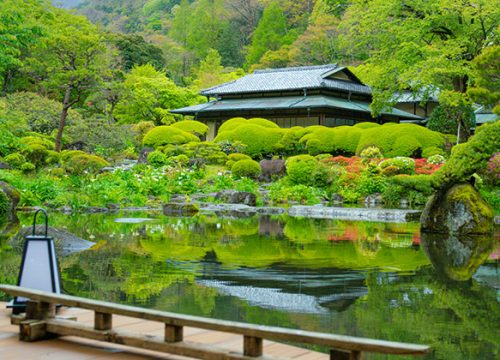 箱根吉池日式旅館