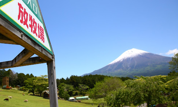 山梨縣包車自由行