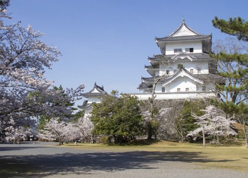 伊賀上野城