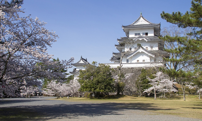 伊賀上野城