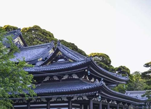长谷寺