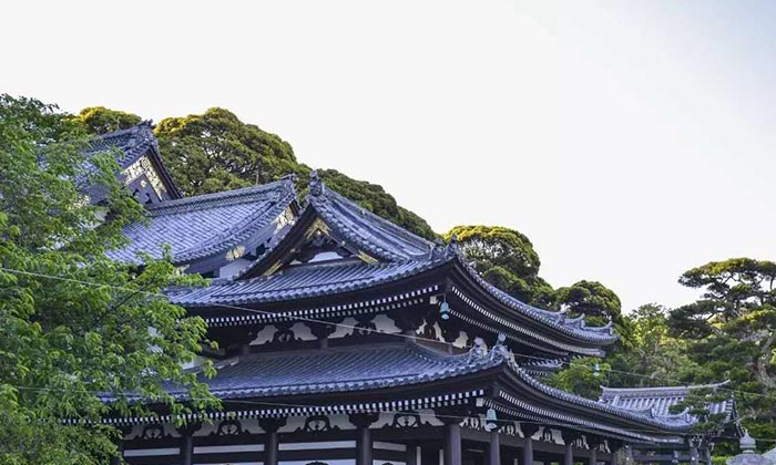长谷寺（Hasedera）