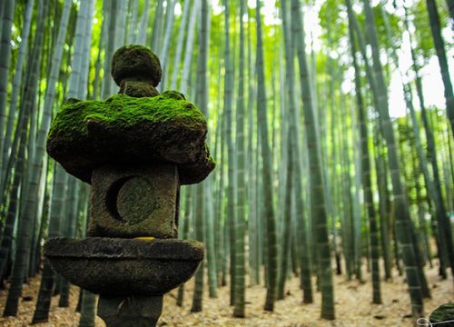 鎌倉報國寺