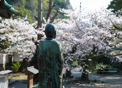 鎌倉光明寺