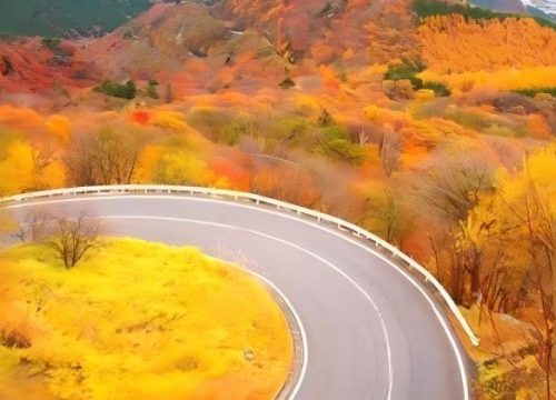 伊呂波坂