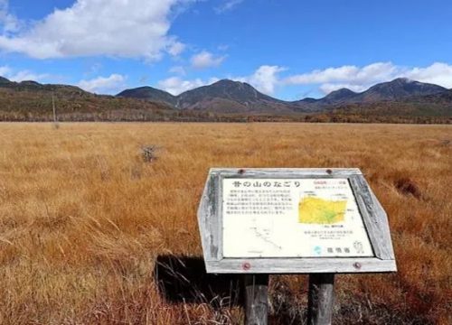 戰場之原
