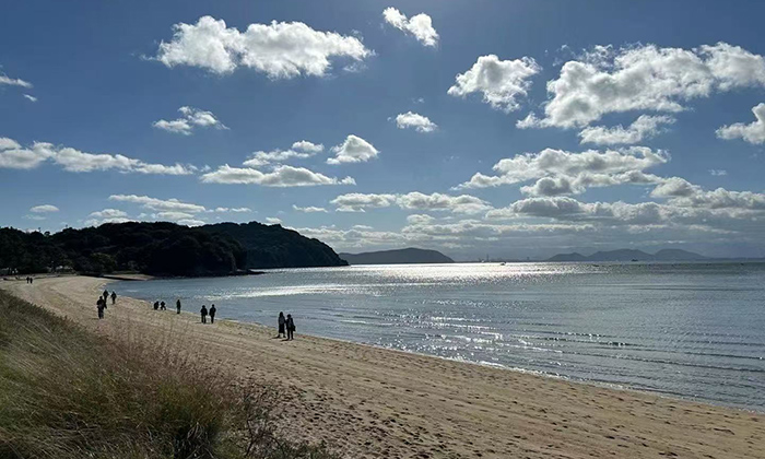 直島 直島